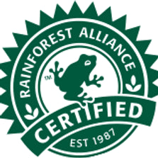 Rainforest alliance logo in green and white